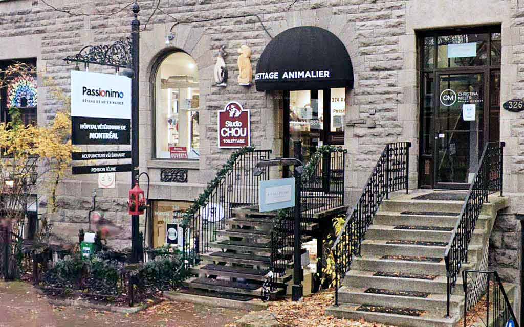 hoptial-veterinaire-de-montreal_profil_1024_1024