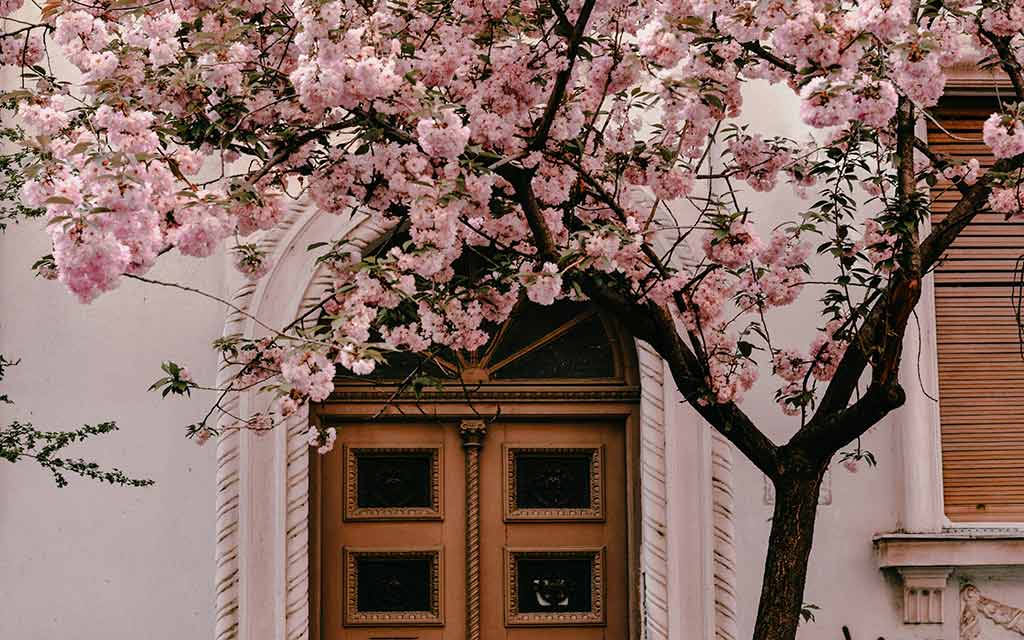 house-in-spring–marijana-vasic–unsplash_1024