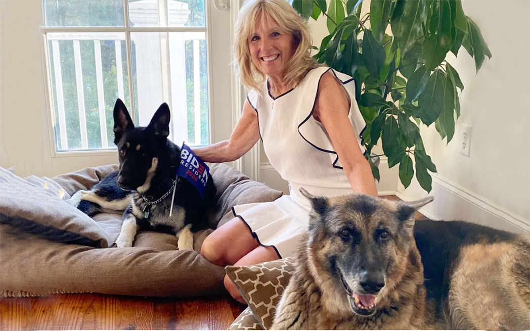 jill-biden-and-dogs_westmountmag