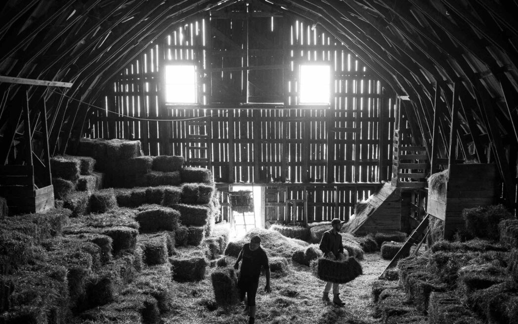 Kassandra Reynolds - The Barn is an Old Insomnious Creature