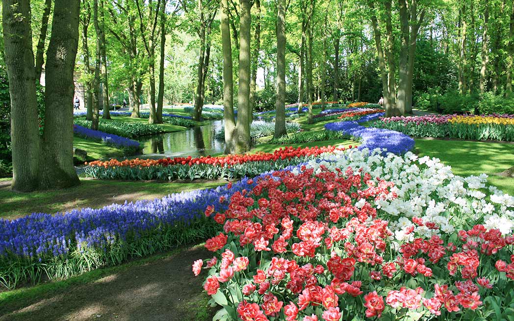 keukenhof-park-netherlands-1048