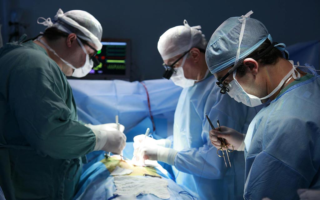 kidney-operation–carloscruz-artegrafia_1024