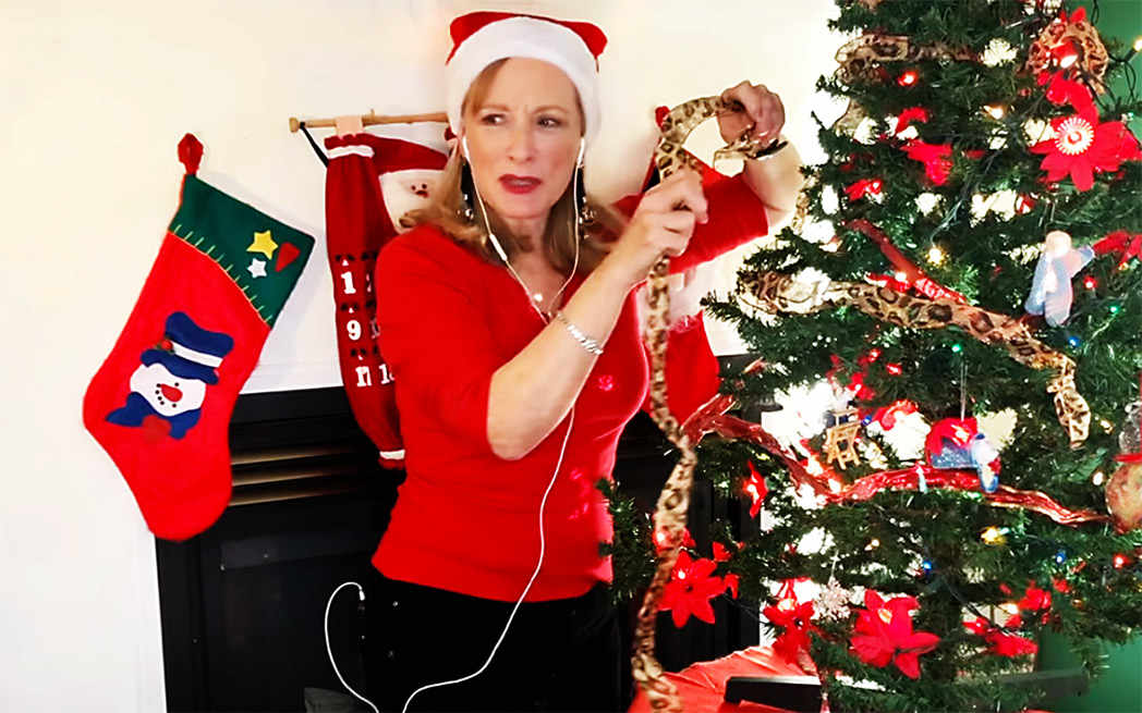 kitty-calling-mrs-claus_1048_westmountmag