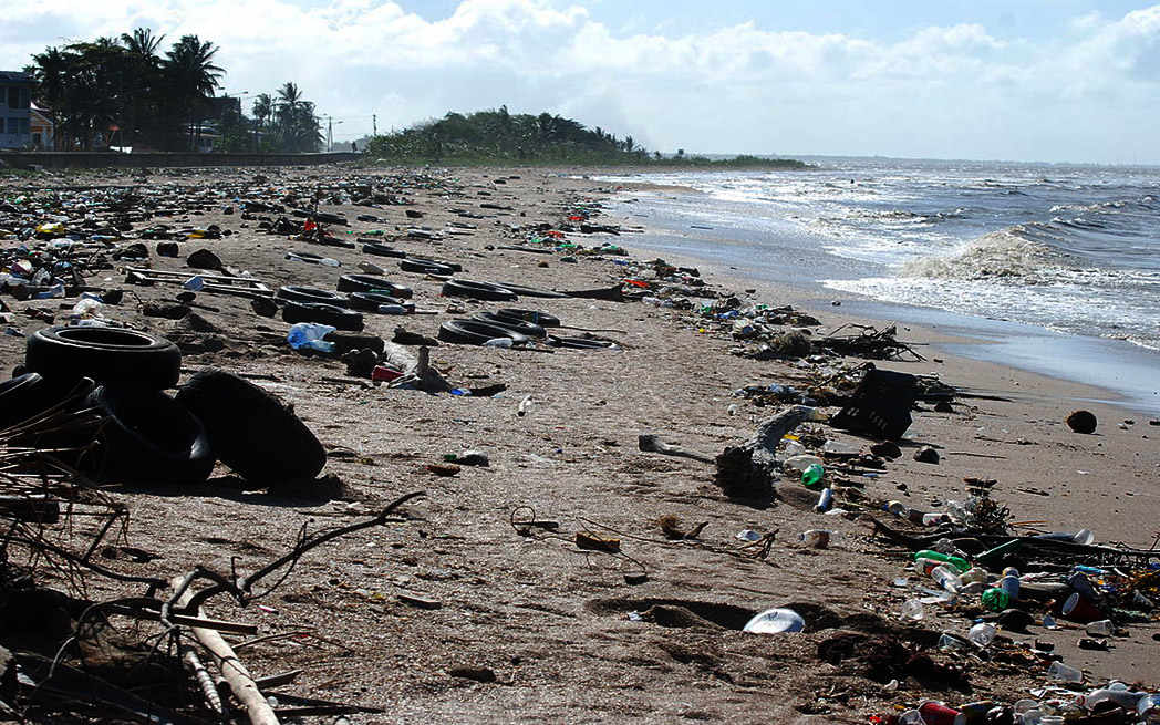littered-beach_westmountmag.ca