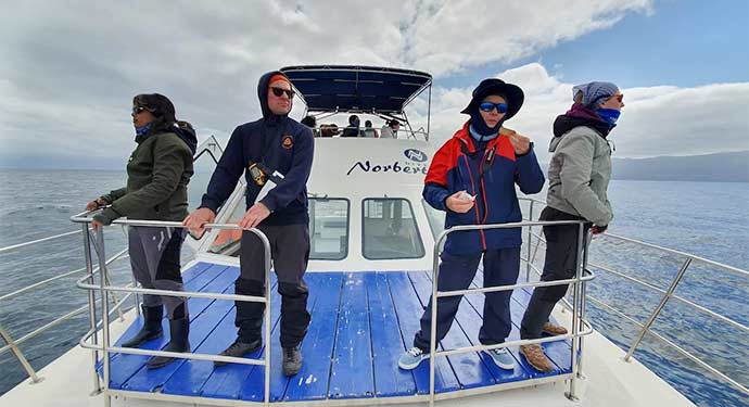 En poste d’observation depuis le pont avant du Physeter • Image : © Biosphere Expeditions