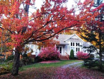 Enhance your curb appeal <br>to sell your house this fall
