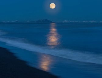 Pause For Poetry: <br loading=