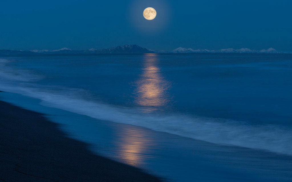 moonlit–beach_1024
