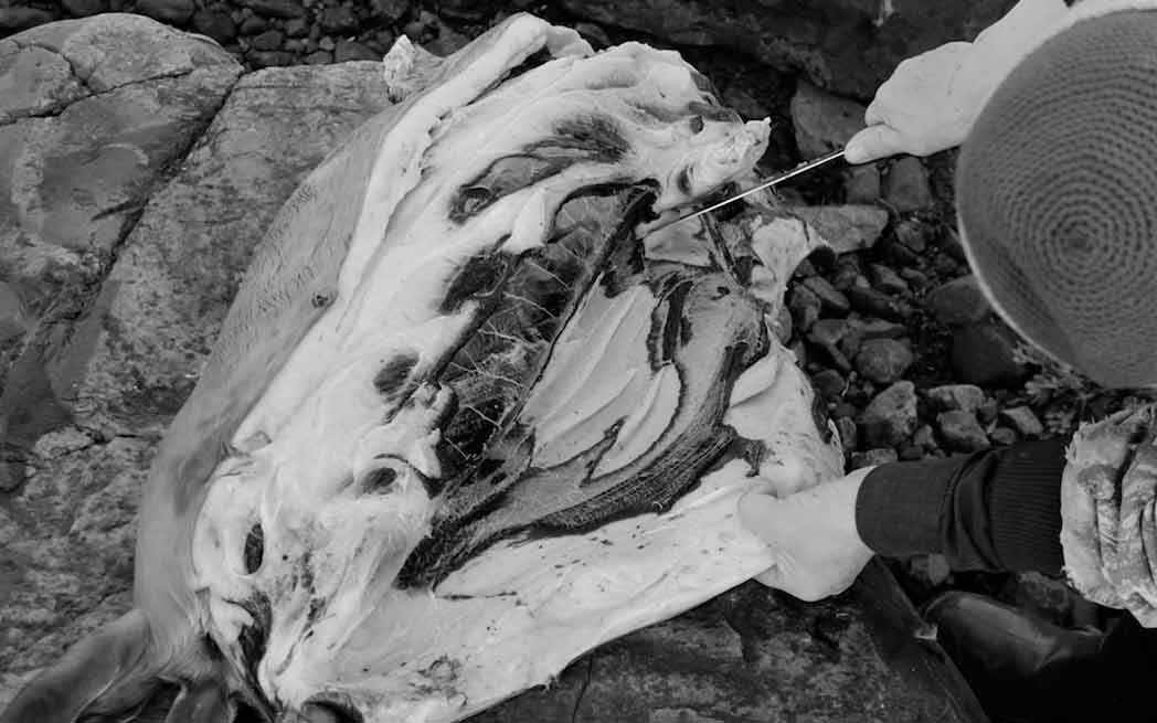 Nunatsiavut_H-Andersen_Sustenance_westmountmag