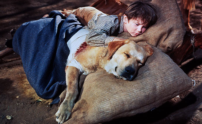 old-yeller-1957_691_westmountmag.ca