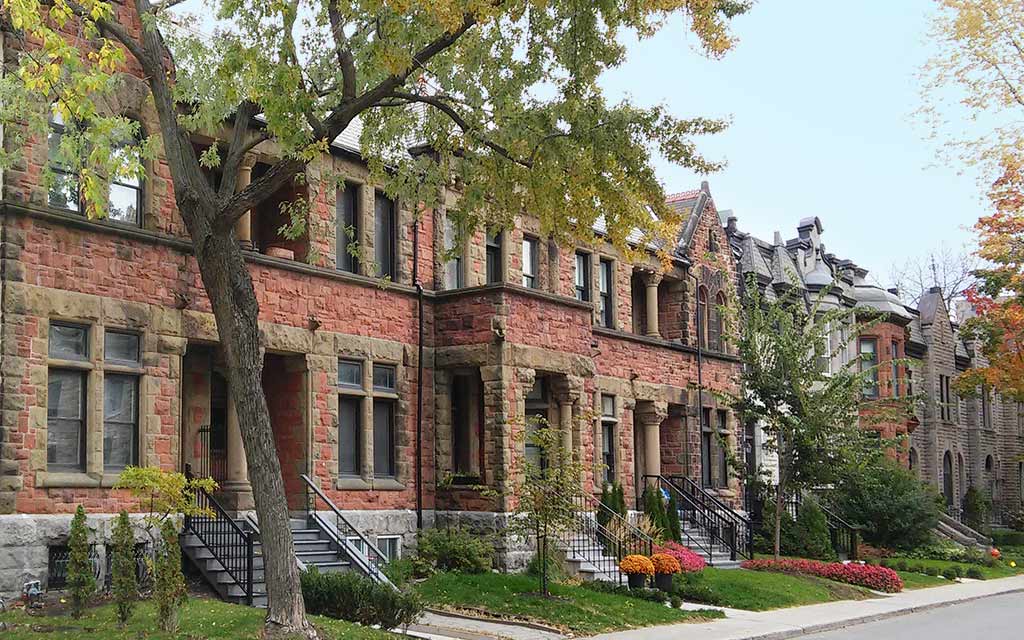 olivier_20181016_161808-1024