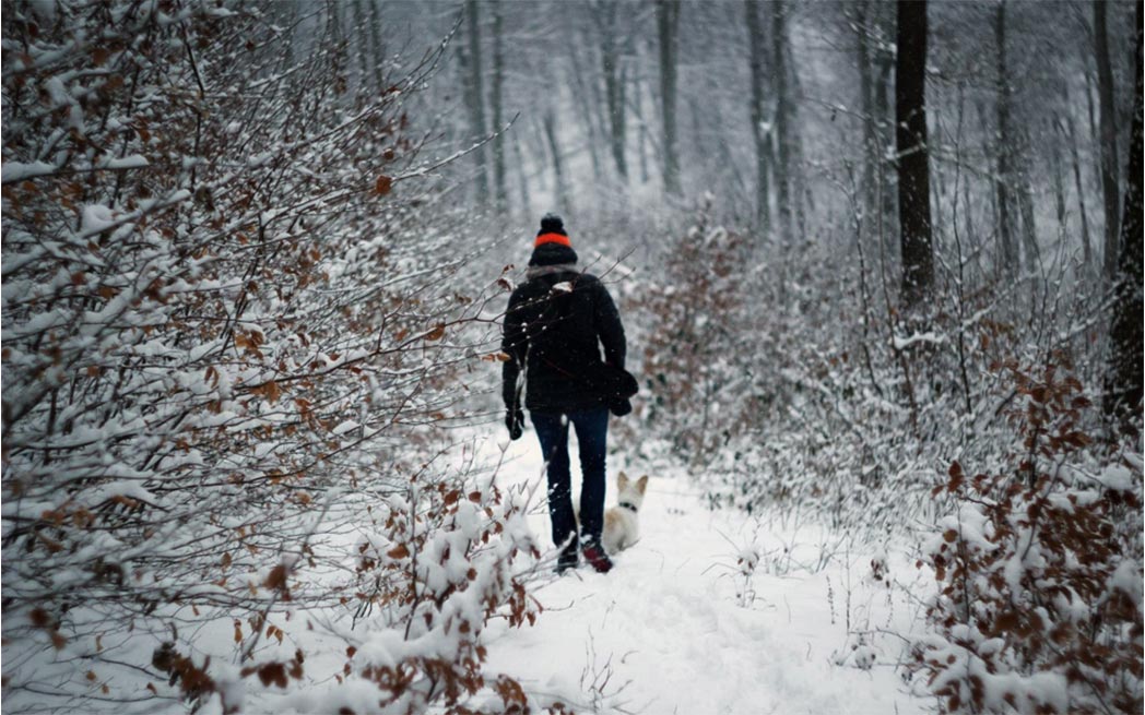 person-walking-in-nature-with-dog_1048_westmountmag.ca