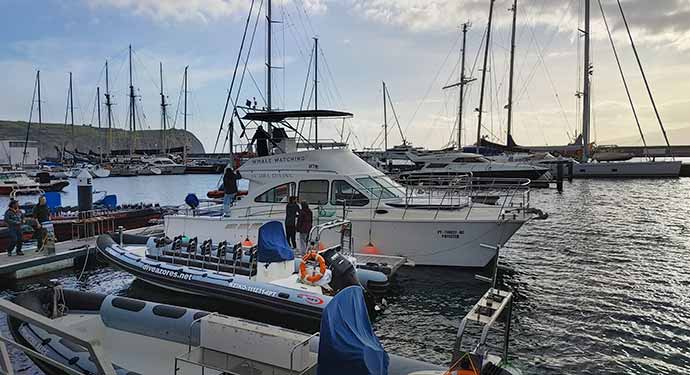 catamaran, Physeter 