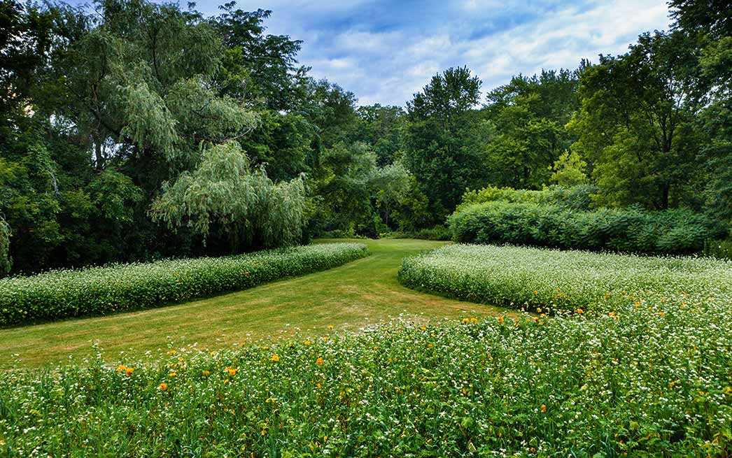 pollinator-garden-vergennes-1048