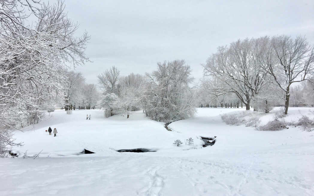 St. Pierre River Meadowbrook