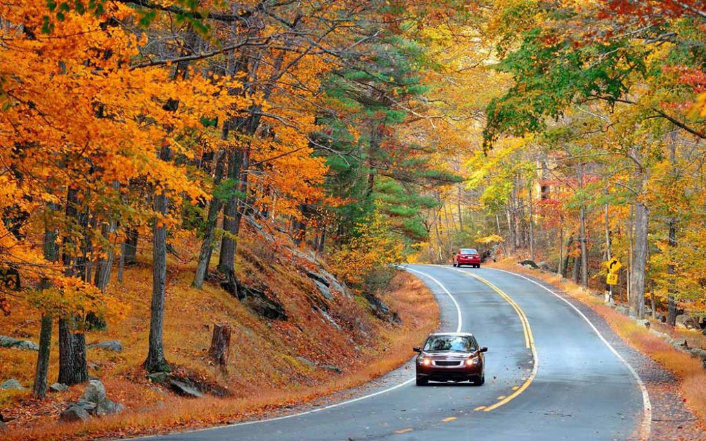 car driving on road in the fall - photo: TravelScape on Freepik
