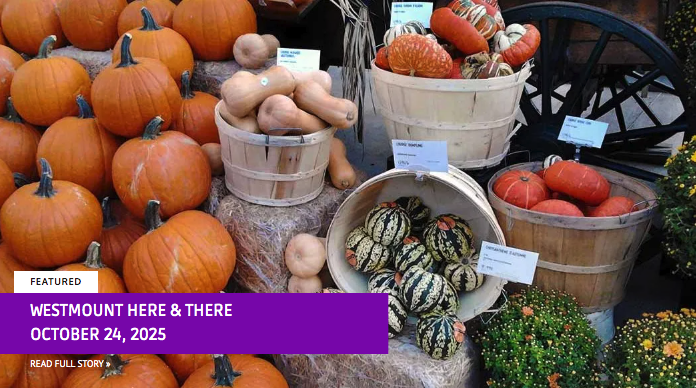 Rates for native advertising in Westmount Here & There twice-weekly column