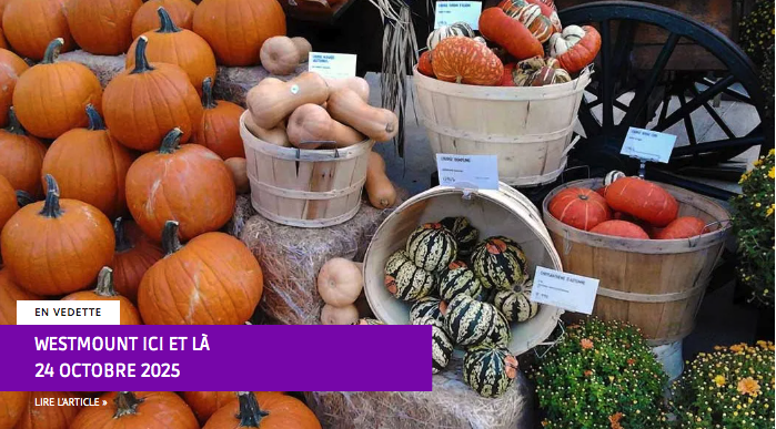 Tarifs pour Publicité native dans la chronique 'Westmount ici et là'