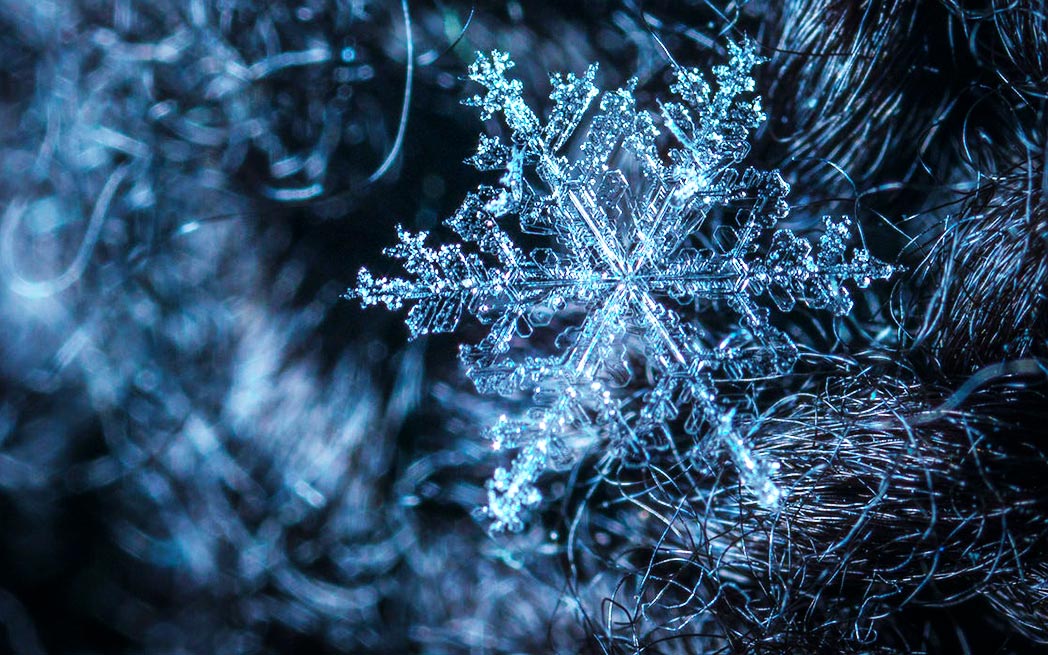 snowflake_westmoiuntmag.ca