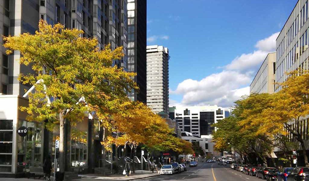 Ste-Catherine St, Montreal