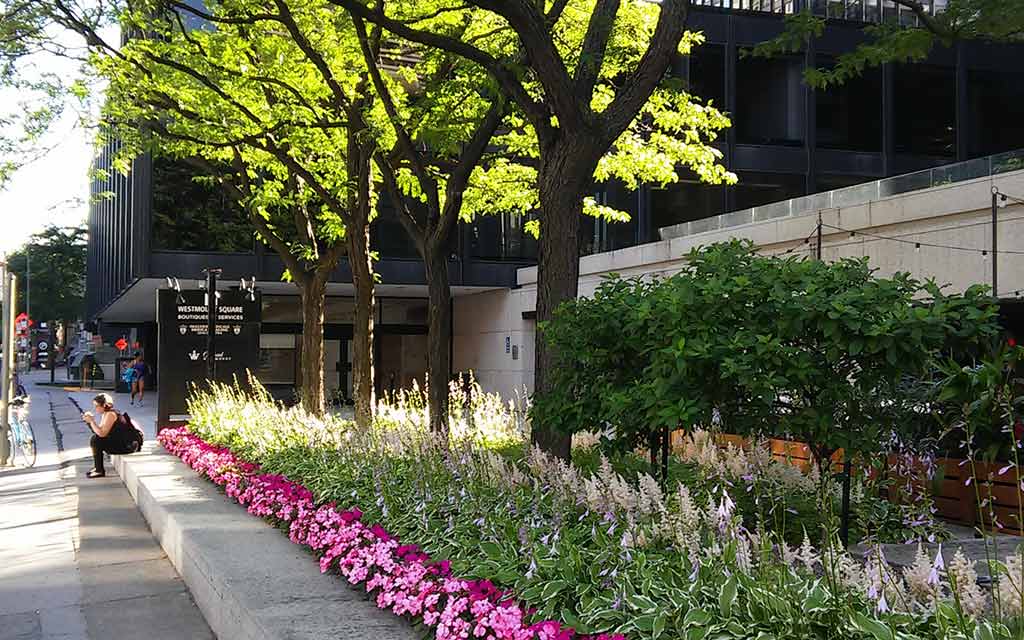 Westmount Square, Westmount QC – photo: © 2017- Andrew Burlone – WestmountMag.ca