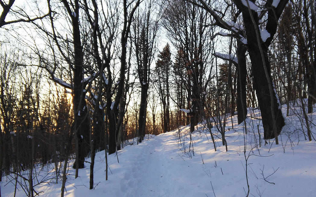 summit-mountain_210208_westmountmag