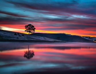 Extinction on My Mind: <br loading=