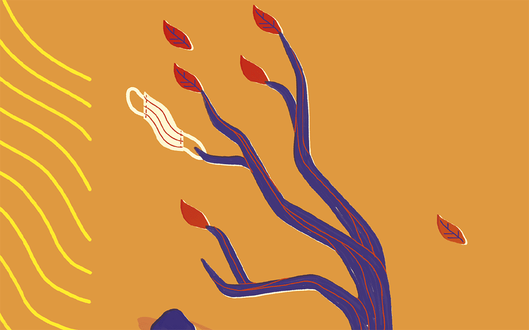 vents-nordiques_westmountmag