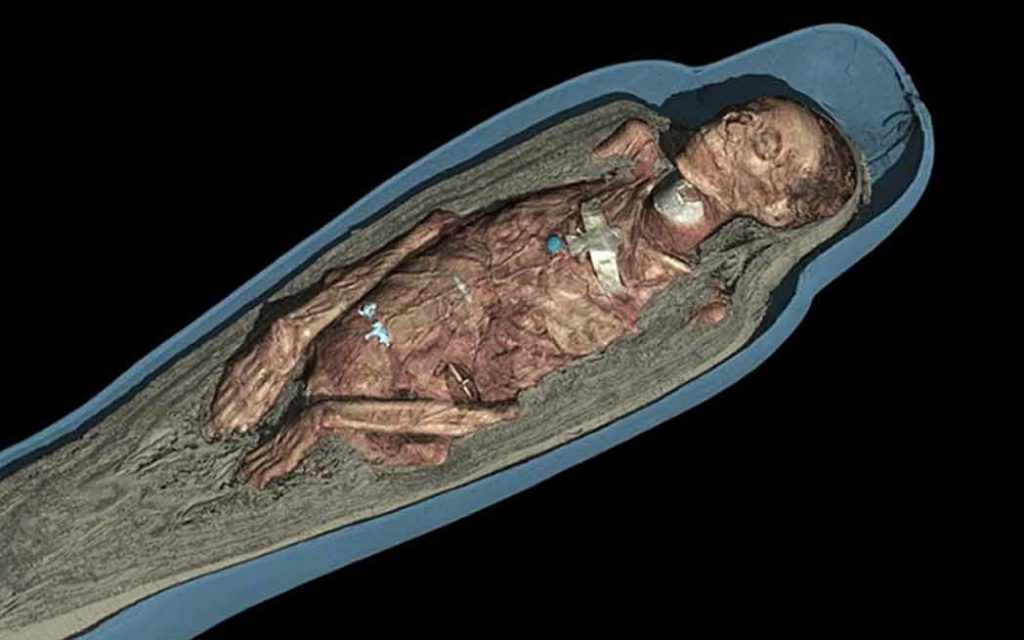 Visualization of the body of Tamut