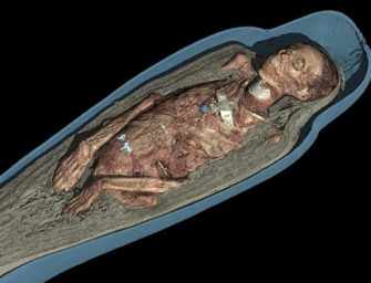 Egyptian Mummies: <br> Exploring Ancient Lives