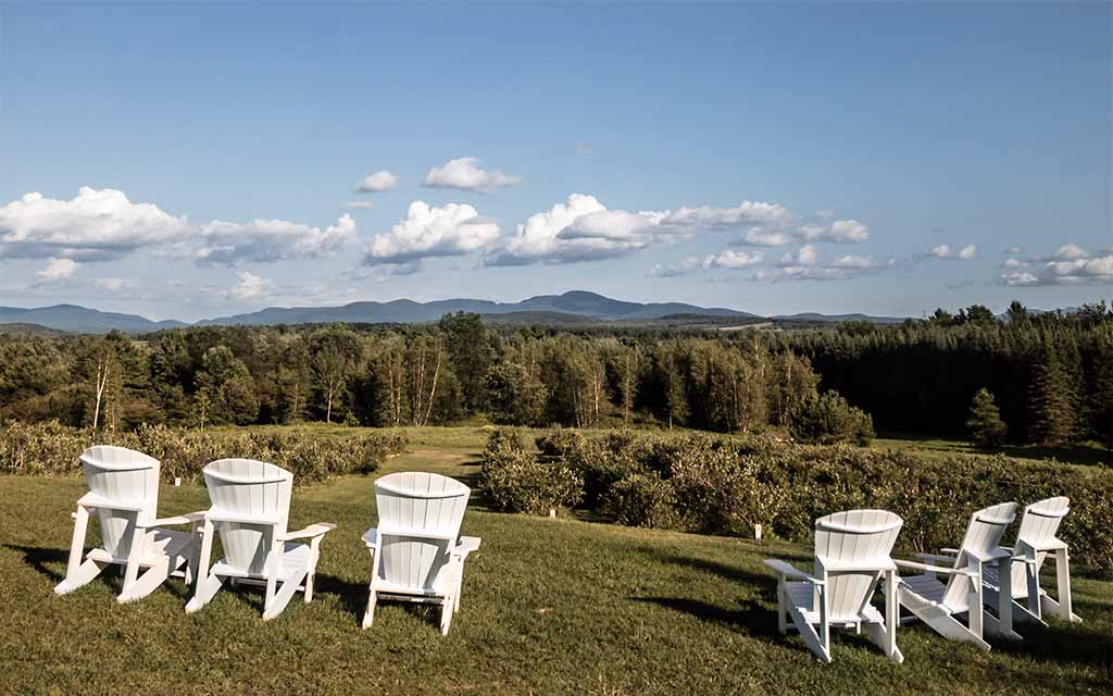 Vue-sur-mont-Sutton_1024