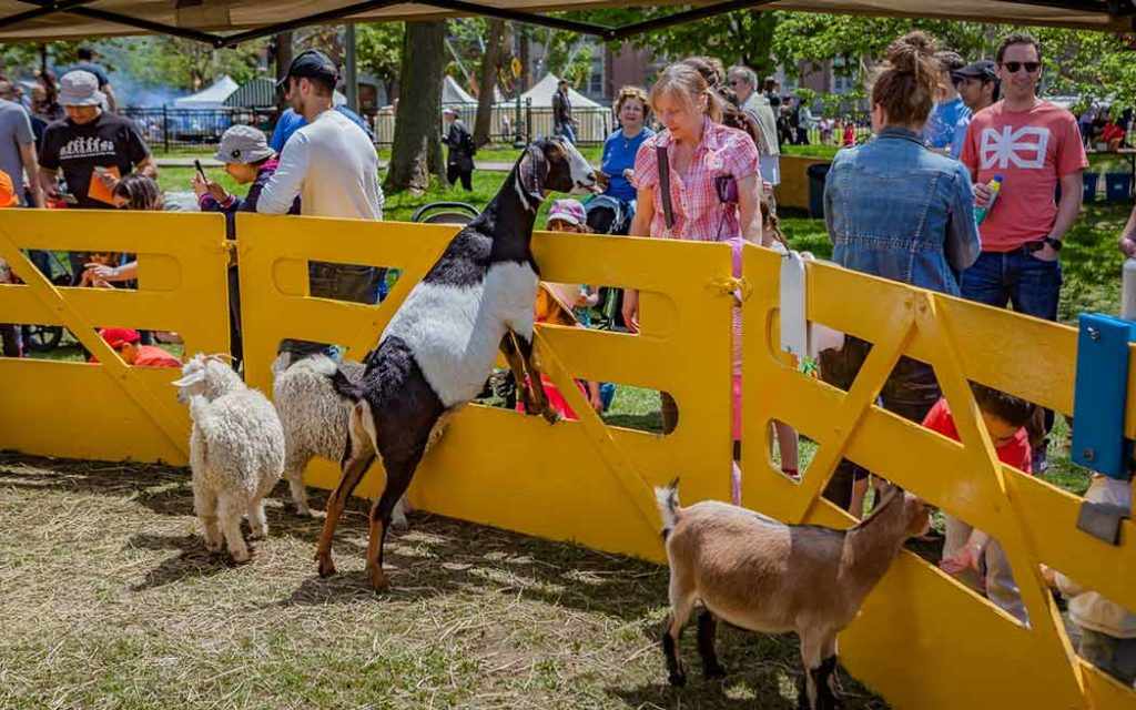 Westmount Family Day 2019 - WestmountMag.ca