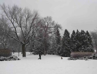 Westmount Here & There <br>February 13, 2026