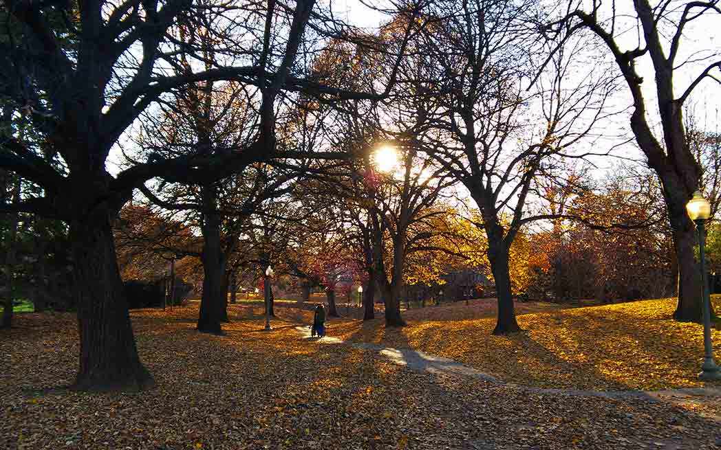 westmount-park_fall_westmountmag_
