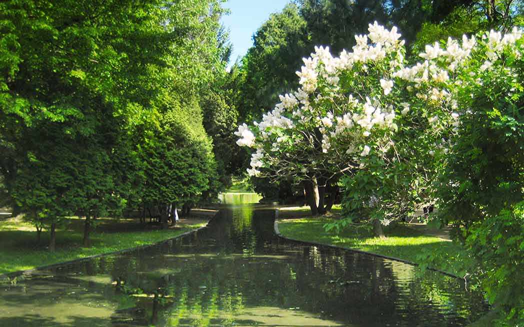 westmount-park_spring_pond1